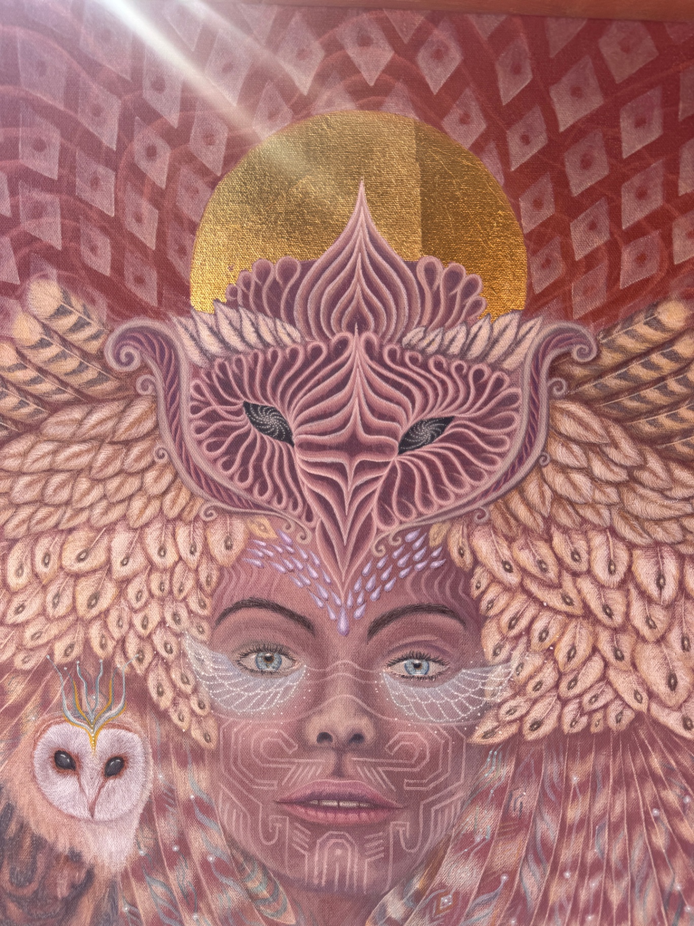 Sabia — full portrait detail